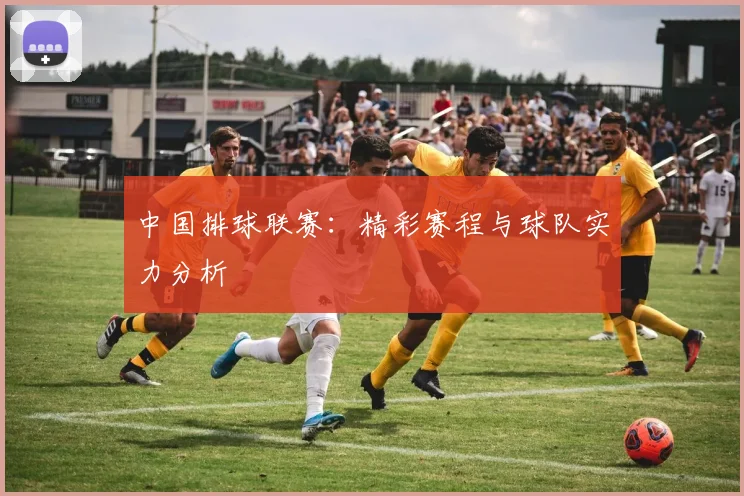 中国排球联赛：精彩赛程与球队实力分析