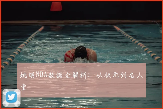 姚明NBA数据全解析：从状元到名人堂