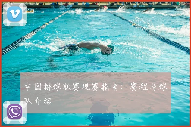 中国排球联赛观赛指南：赛程与球队介绍