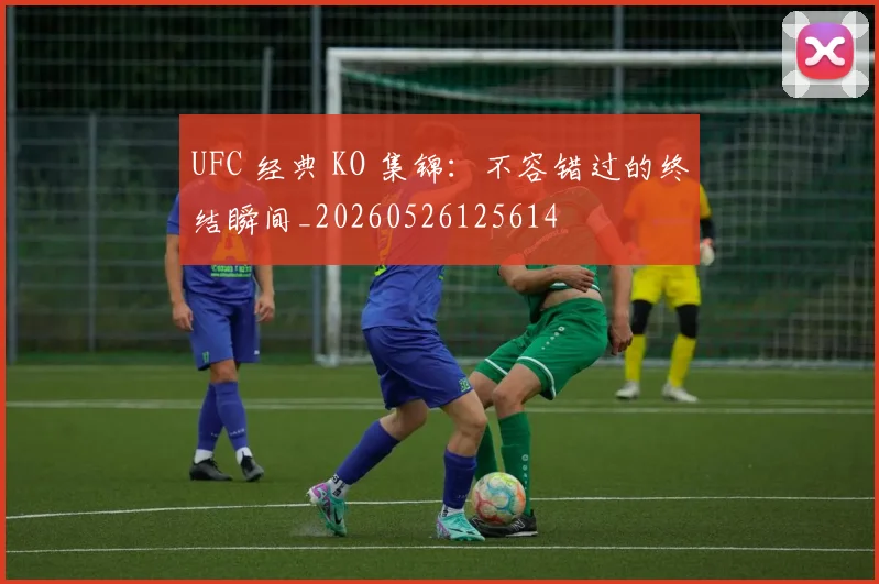 UFC 经典 KO 集锦：不容错过的终结瞬间_20260526125614