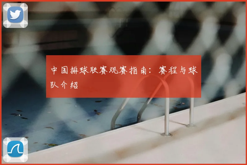 中国排球联赛观赛指南：赛程与球队介绍