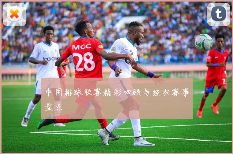 中国排球联赛精彩回顾与经典赛事盘点